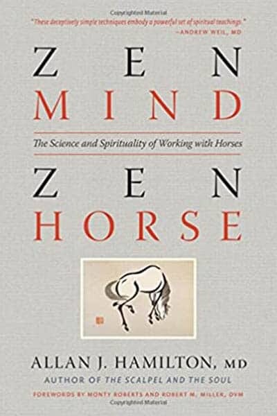 Zenová mysl, zenový kůň