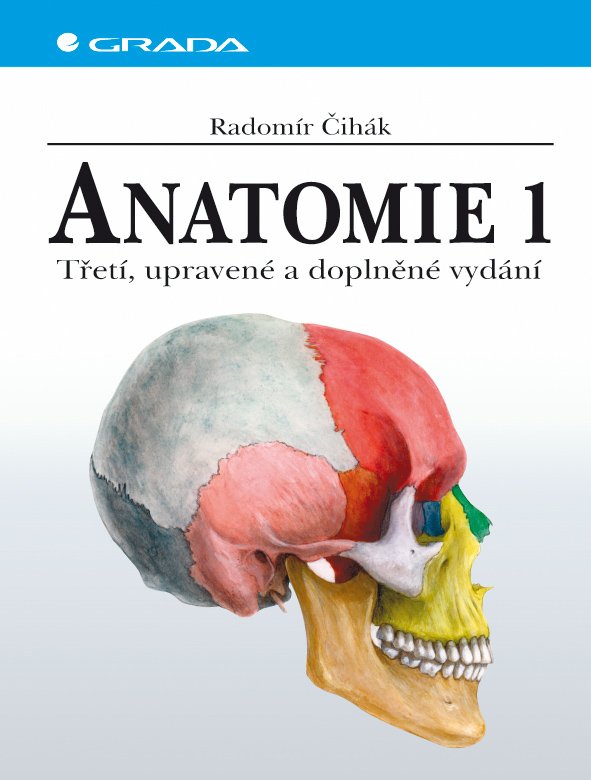 Anatomie 1