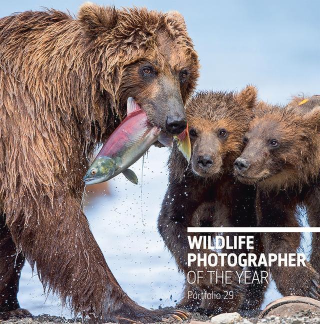 Wildlife Photographer of the Year: Portfolio 29