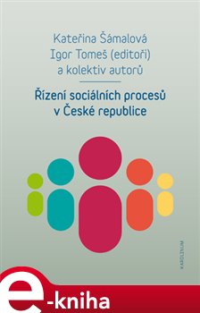 Řízení sociálních procesů v České republice e-kniha